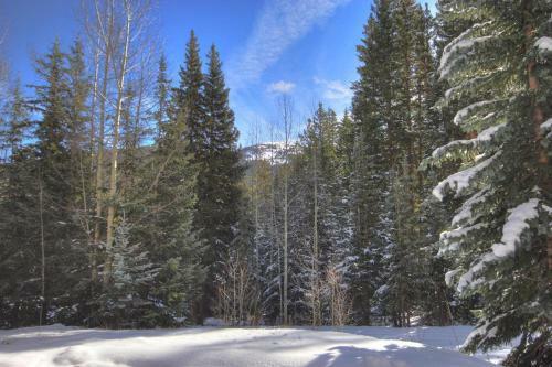 Aspen House