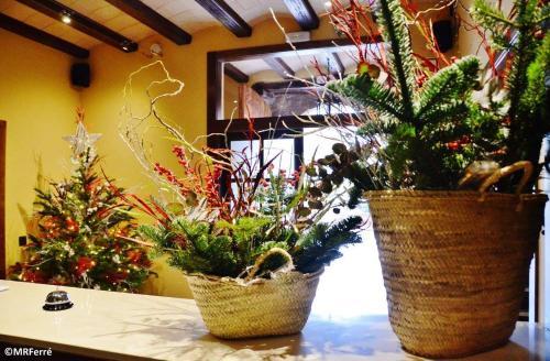 Hotel Can Panyella