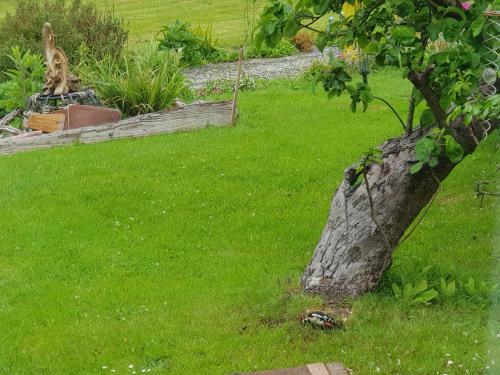 Kingsmede Bed & Breakfast