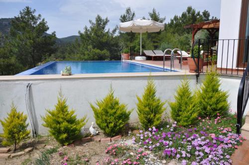 Villa Horizon