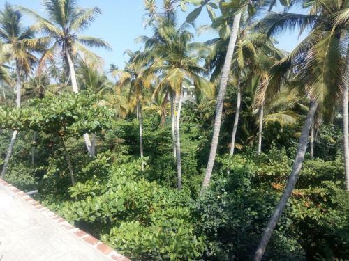 Hostal Craby Guesthouse