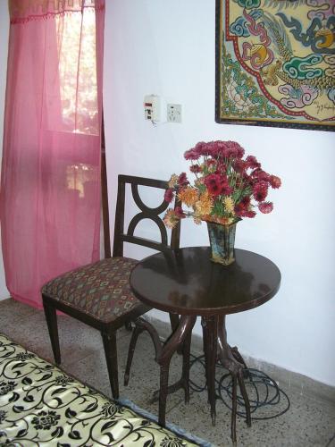 Bed & Breakfast Maya's Nest