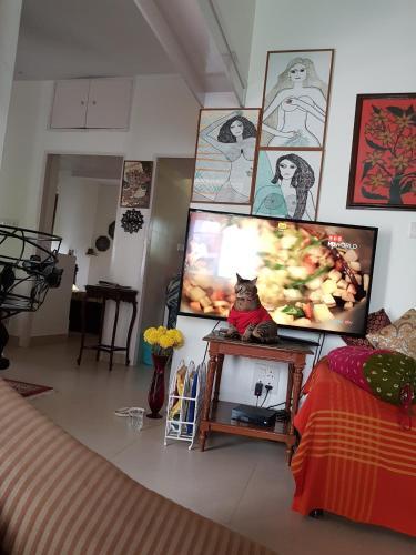 Bed & Breakfast Maya's Nest