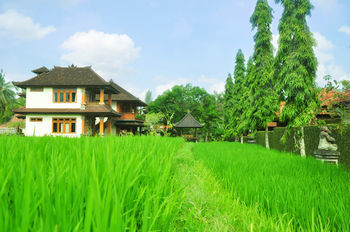 Hostal Nick's Pension