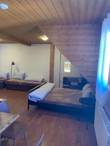 Hostal Penzion U Grobiana