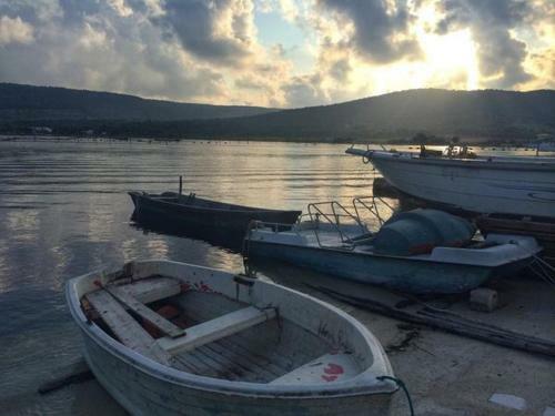 Apartamento Appartamento Tra Mare E Lago