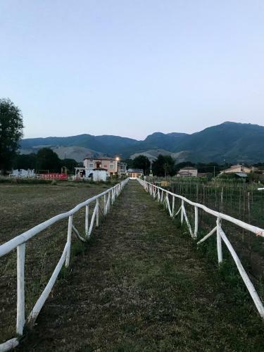 Bed & Breakfast Ca' Del Conte Agrihouse