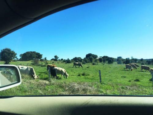 Agroturismo Montecristo