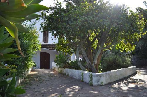 Casa Schicciola