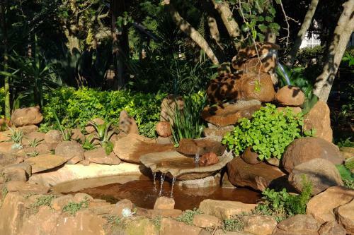 Bed & Breakfast Aloe Country Lodge