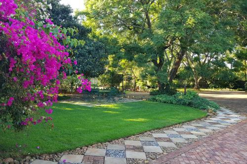 Bed & Breakfast Aloe Country Lodge