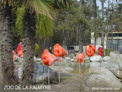 Villa La Palmyre Et La Cote De Beaute 1