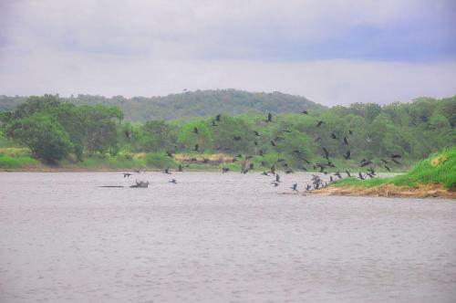 Lodge Ciigiri Splendour