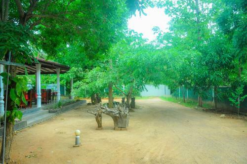 Lodge Ciigiri Splendour
