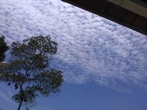 The Breeze Pinnawala Homestay