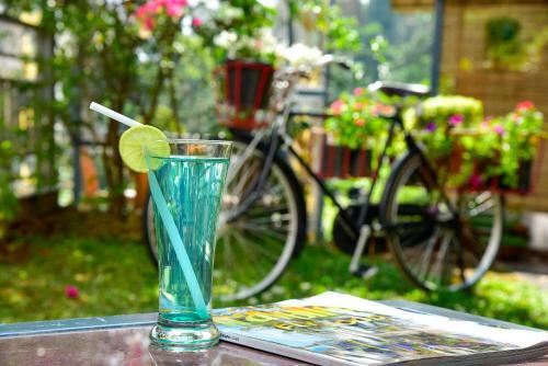 Mistletoe Homestay & Cafe