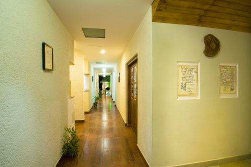 Mistletoe Homestay & Cafe