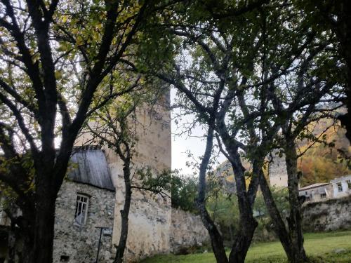 Hostal Lagami House