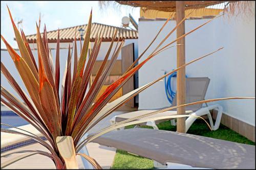 Chalet Muelle Pesquero