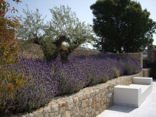 Villa Gournes