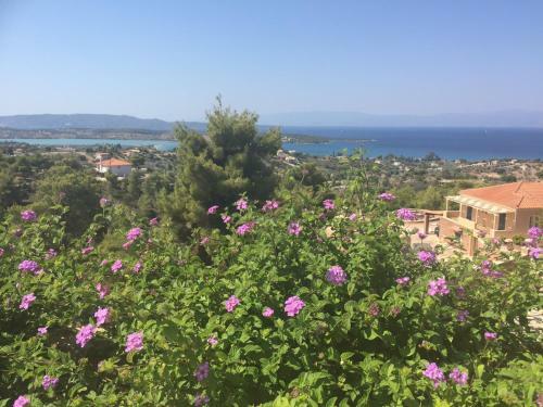 Villa Gournes