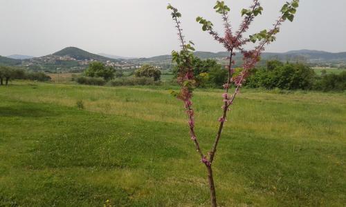 Apartamento Residence Maria Giulia