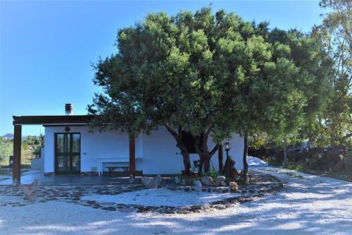Agroturismo La Ginestra