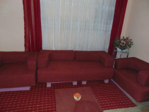 Douja Apartment