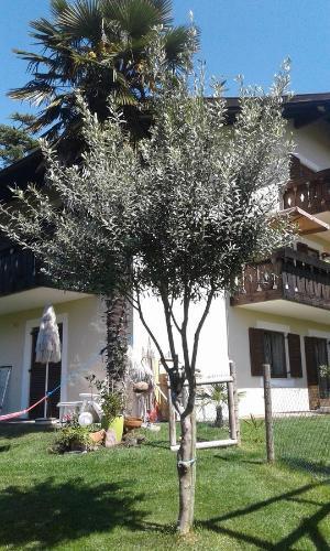 Bed & Breakfast Garni Unterspeiser