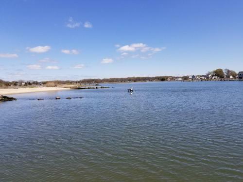 Saybrook Manor Beach House
