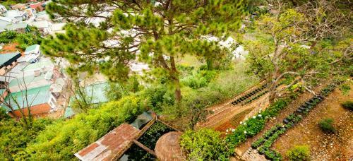 Thach Thao Villa
