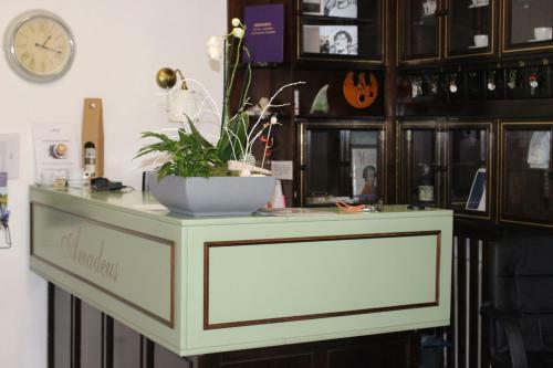 Hotel Amadeus