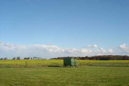 Shrublands Farm Shepherd's Hut