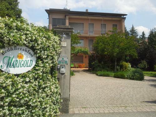 B&B Marigold