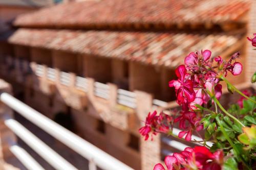 Apartmentos Cazorla Valle
