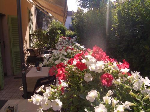 Residencia B&B Lucca Relais