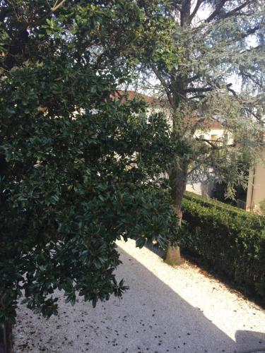 Residencia B&B Lucca Relais