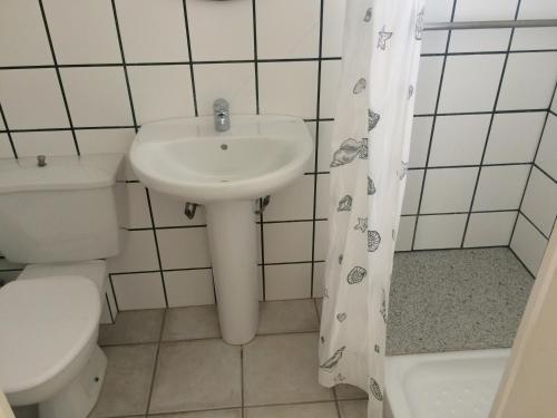 Apartaments La Palmera