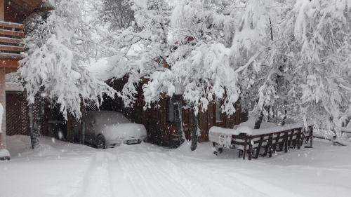 Caba�as Tronco Mayen