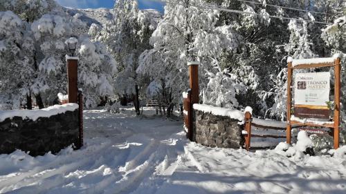 Caba�as Tronco Mayen