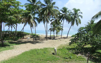 Bed & Breakfast Brisas Doradas