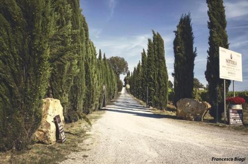 Bed & Breakfast Villa Nottola