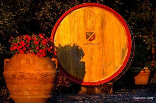Bed & Breakfast Villa Nottola