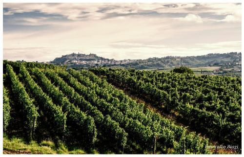 Bed & Breakfast Villa Nottola