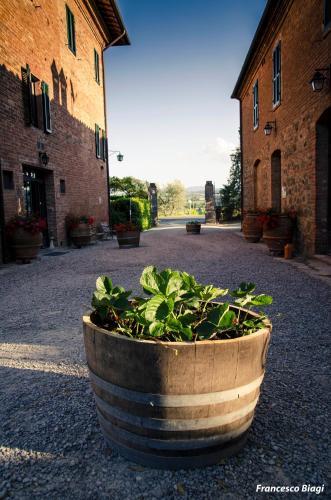 Bed & Breakfast Villa Nottola