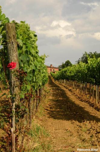 Bed & Breakfast Villa Nottola