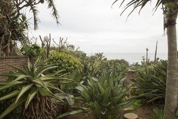 Misty Blue Bed And Breakfast