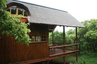 Posada Amafu Forest Lodge