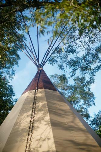 Tipi 1 Prancing Deer
