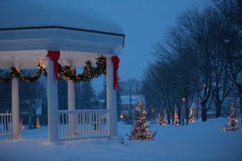 Hotel Snow Cap Inn